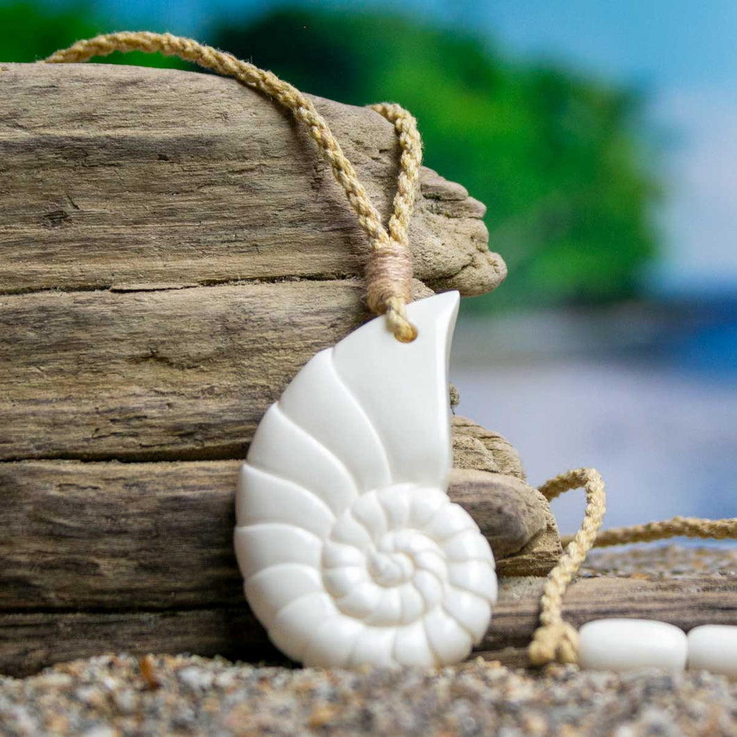 Nautilus Shell