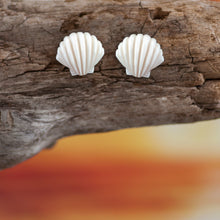 Load image into Gallery viewer, Seashell Studs
